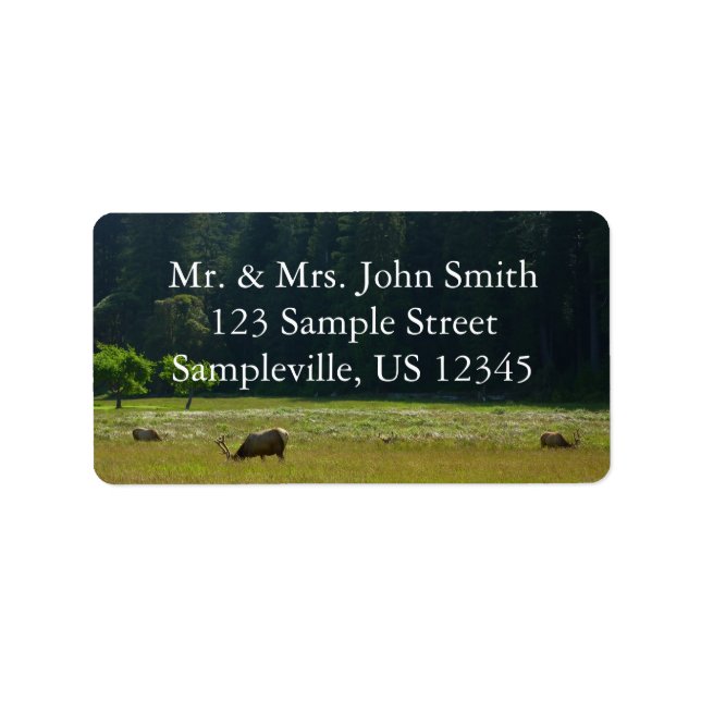Elk Meadow im Redwood-Nationalpark Adressaufkleber (Vorne)