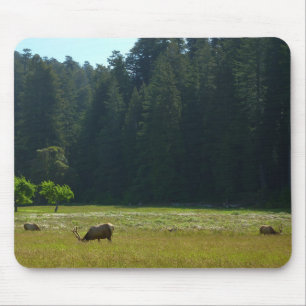Elk Meadow im Redwood-Nationalpark Mousepad