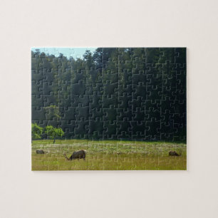 Elk Meadow im Redwood-Nationalpark Puzzle