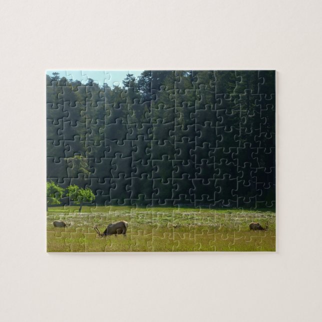 Elk Meadow im Redwood-Nationalpark Puzzle (Horizontal)