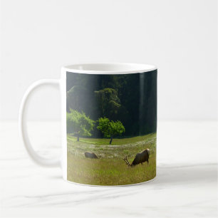 Elk Meadow im Redwood-Nationalpark Tasse