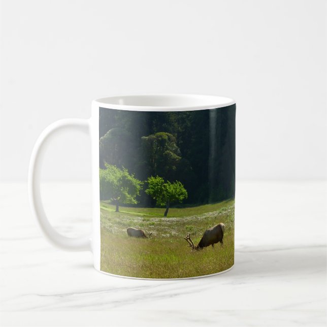 Elk Meadow im Redwood-Nationalpark Tasse (Links)