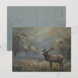 Elk Meadow Postcard Postkarte