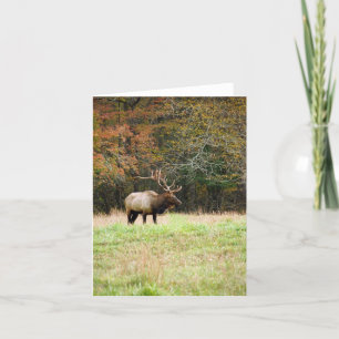 Elk Notecard Karte