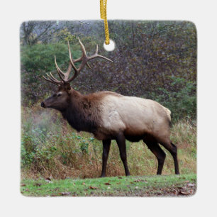 Elk Ornament