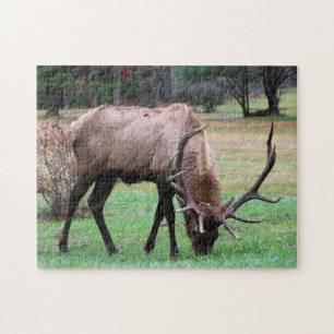 Elk Puzzle