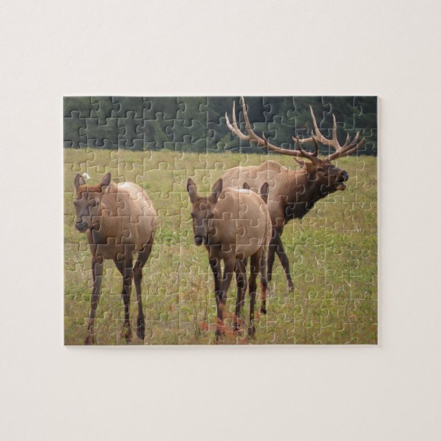 Elk Puzzle (Horizontal)