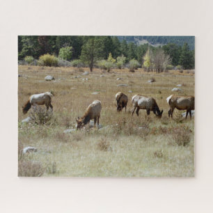 Elk-Puzzle Puzzle