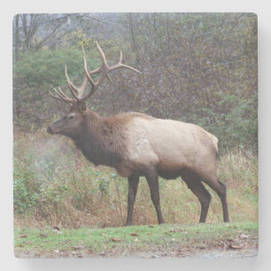 Elk Untersetzer