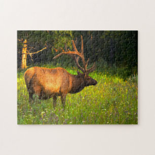 Elk Yellowstone Montana. Puzzle