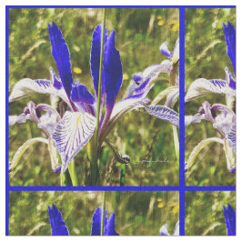 Elkhorn Mountain Iris Stoff