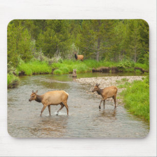 Elks überqueren den Colorado-Fluss Mousepad