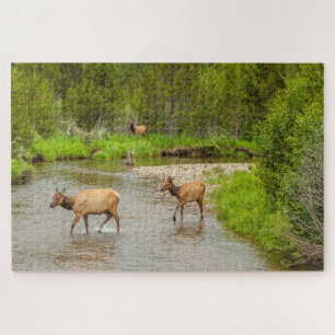 Elks überqueren den Colorado-Fluss Puzzle