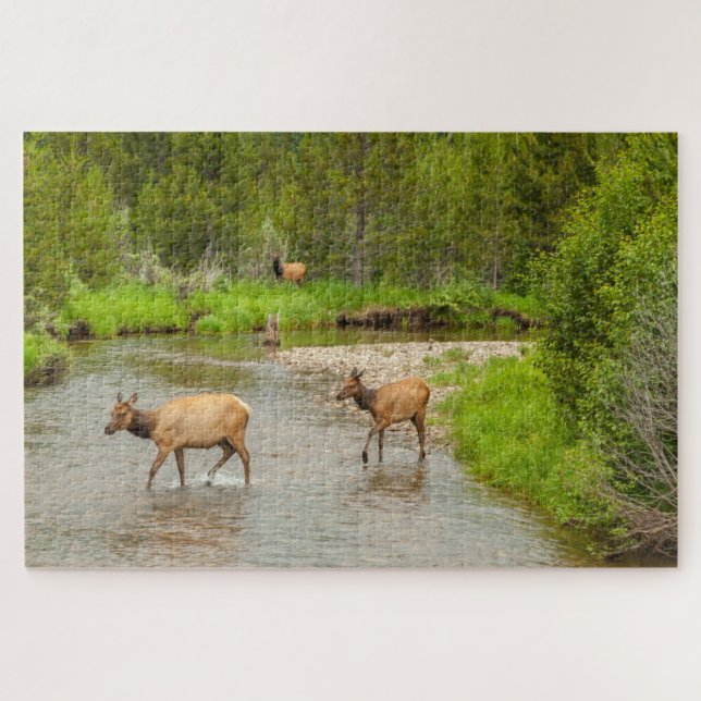 Elks überqueren den Colorado-Fluss Puzzle (Horizontal)