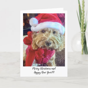 Ella Bella Banana Santa Dankeskarte