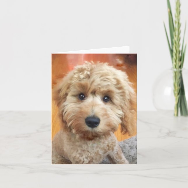 Ella Bella Banana Welpe nah Dankeskarte (Vorderseite)