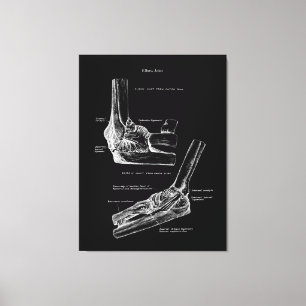 Ellbogen Joint Anatomie Leinwand Art