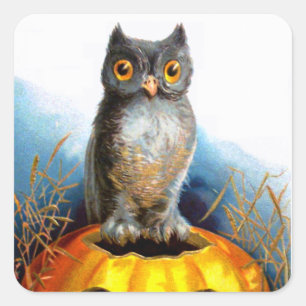 Ellen H. Clapsaddle: Halloween-Eule Quadratischer Aufkleber
