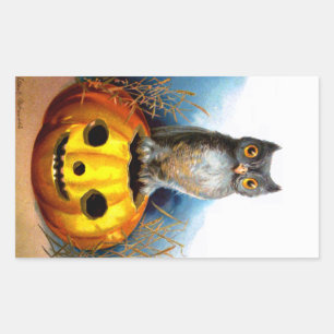 Ellen H. Clapsaddle: Halloween-Eule Rechteckiger Aufkleber