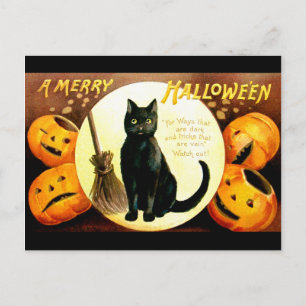 Ellen H. Sattel: Halloween Cat Postkarte