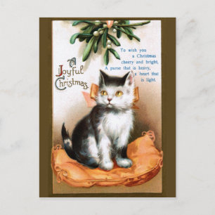 Ellen H. Sattel: Katze unter Mistletoe Postkarte
