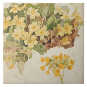 Ellen Terry (1847-1928) als Cordelia, nach einem Fliese