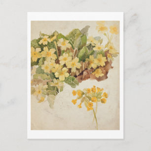 Ellen Terry (1847-1928) als Cordelia nach einem Fo Postkarte