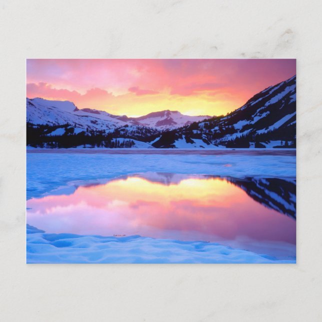Ellery Lake at Sunset Postkarte (Vorderseite)