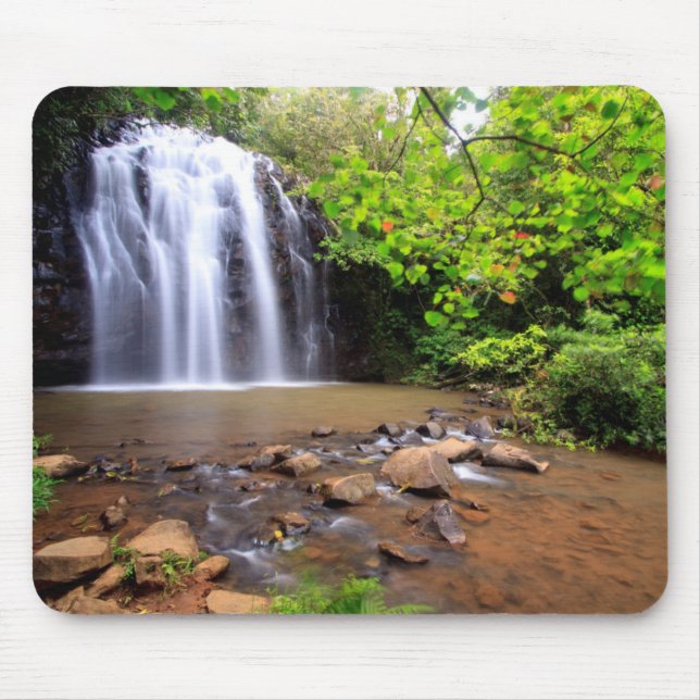 Ellinjaa-Wasserfall, Australien Mousepad (Vorne)