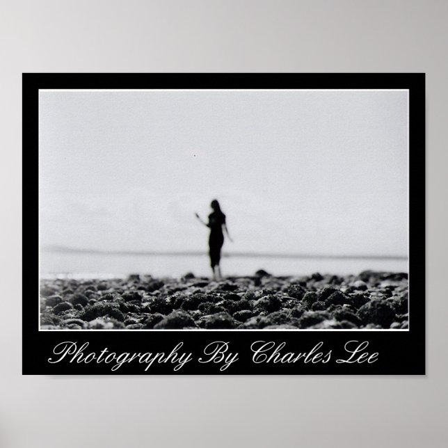 Elliot Bay Marina 1 Poster (Vorne)