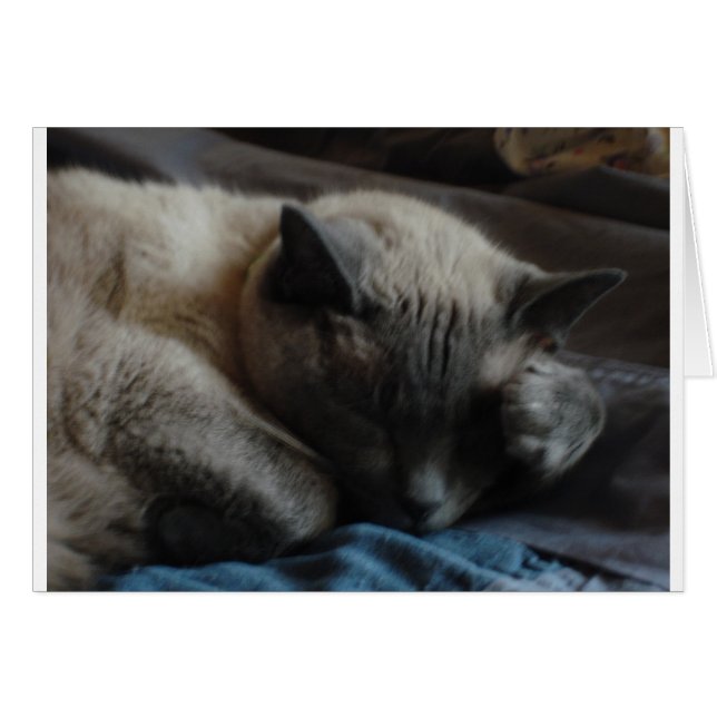 Elliott (Vorderseite (Horizontal))