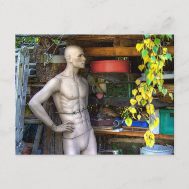 Ellis Garden III Postkarte (Vorderseite)