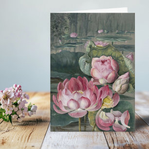 Ellis Rowan Sacred Lotus Water Lily Vintage Blume Karte