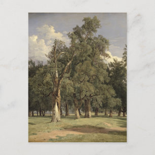 Elm-Bäume in Prater, 1831 Postkarte