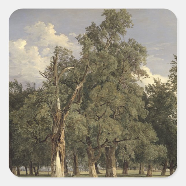 Elm-Bäume in Prater, 1831 Quadratischer Aufkleber (Vorderseite)
