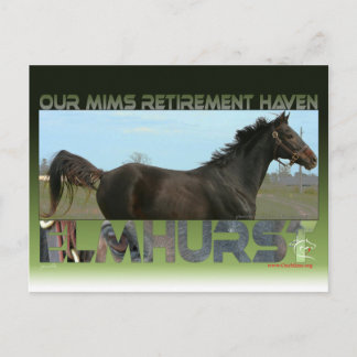 Elmhurst - Sprintsieger des "97 Breeders" Cup Postkarte