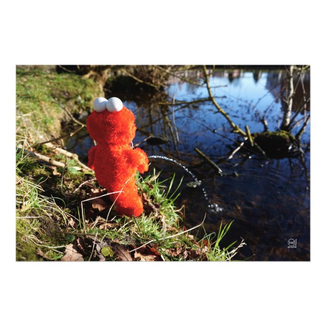 Elmo Plassend aan de waterrand. Fotodruck (Vorne)