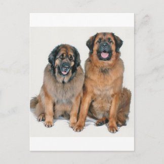 Elsa & Wellington Postkarte