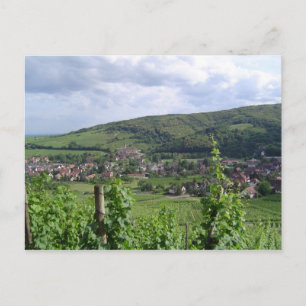 Elsass-Weinberge Postkarte
