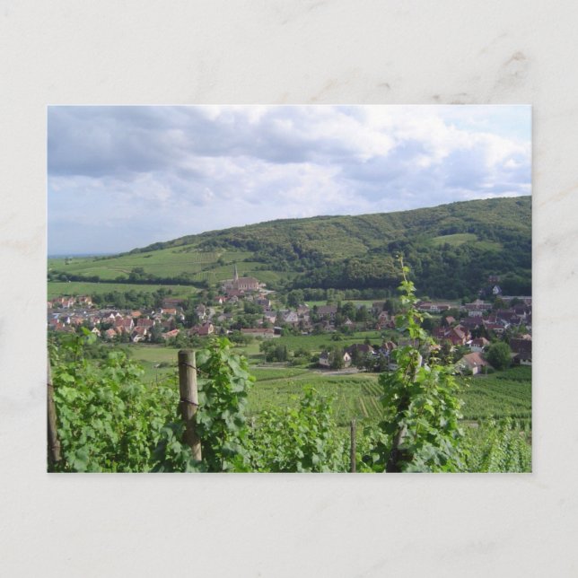 Elsass-Weinberge Postkarte (Vorderseite)
