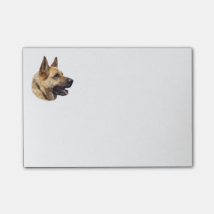 Elsässisches Schäferhundporträt Post-it Klebezettel