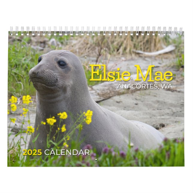 ELSIE MAE 2025 - TUGBOAT PARK - SKYLINE ANACORTES KALENDER (Titelbild)