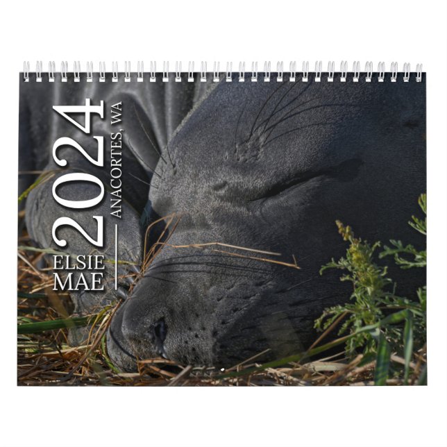 Elsie Mae Calendar Kalender (Titelbild)