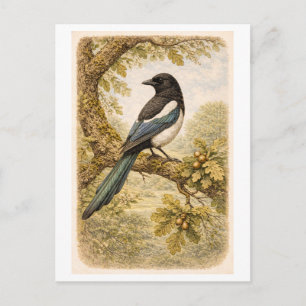 Elster-Illustration im Vintage-Stil Postkarte