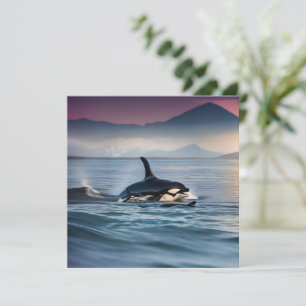 Elternzeit: Mama und Baby Orcas im Ozean, Save The Date