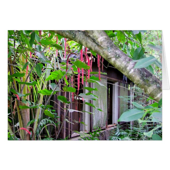 Elvis Presley Bungalow (Vorderseite (Horizontal))