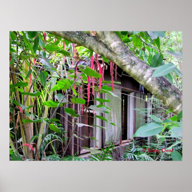 Elvis Presley Bungalow Poster (Vorne)