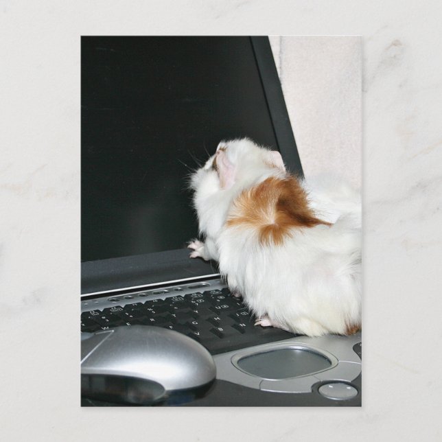 Email mir! postkarte (Vorderseite)