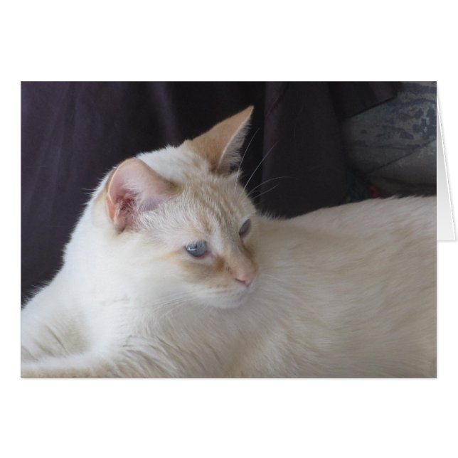 Ember serene (Vorderseite (Horizontal))