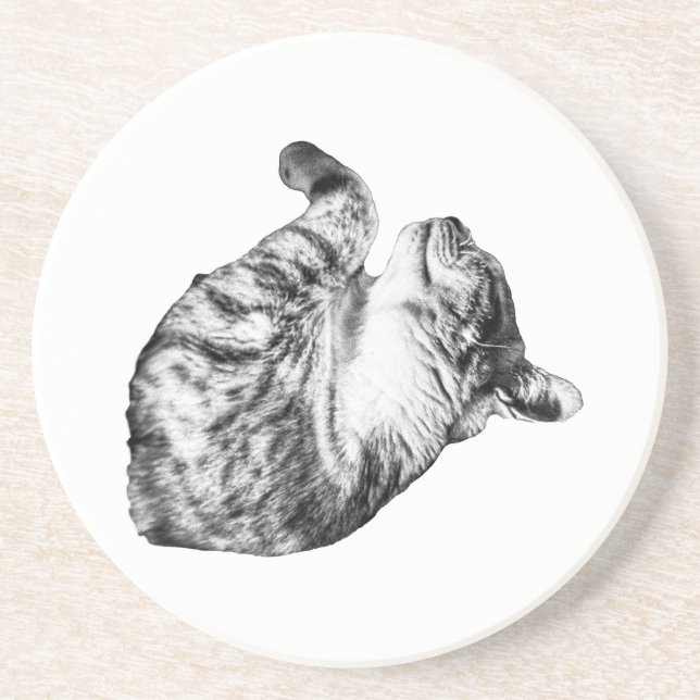 Ember-Step Purr Getränkeuntersetzer (Vorne)